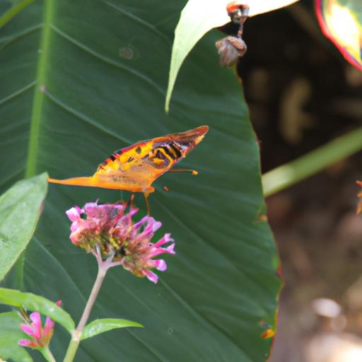 Con bướm có cánh mỏng manh hút mật từ hoa.