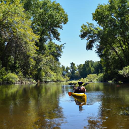Chèo thuyền kayak trên dòng sông êm đềm, ngắm cảnh rừng xanh